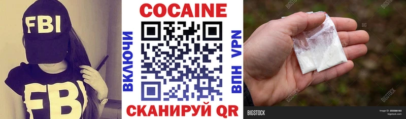 MEGA продажа наркотиков Емва Cocaine Fish Scale