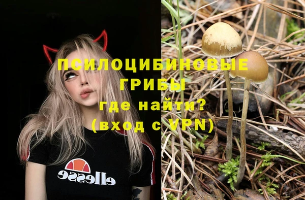 мескалин Абинск